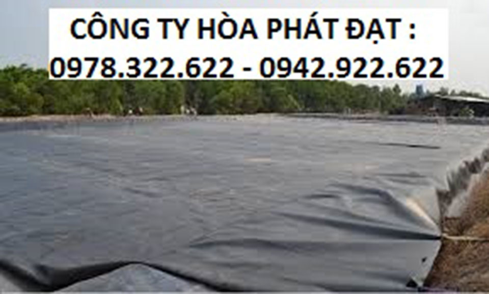 cung cấp thi công bạt HDPE lót bờ ao, thi công bạt hồ chứa nước, hầm bioga